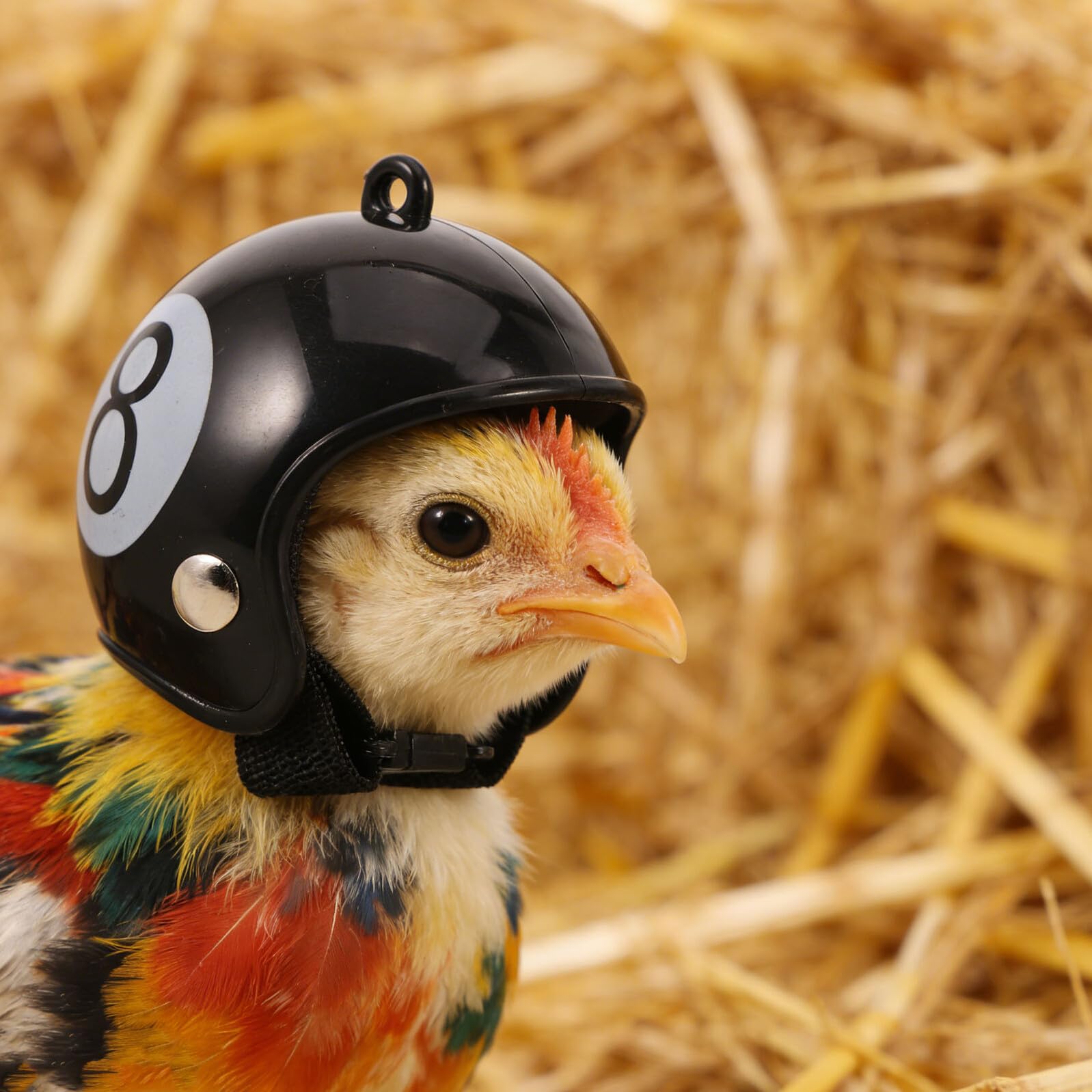 FDH 鳥デザイン バッター用ヘルメット FDH 鳥デザイン バッター用ヘルメット